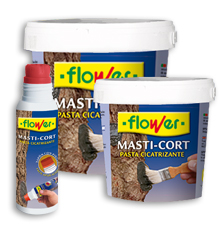 MASTI-CORT (pasta cicatrizante injertos)
