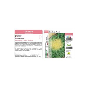 Escarola