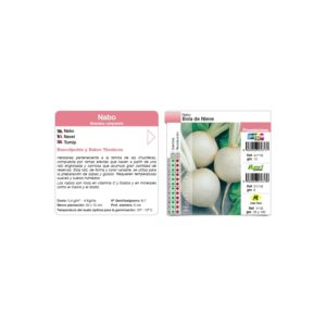Nabo