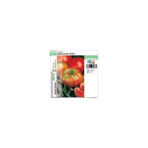 Tomate Marmande (RAF)