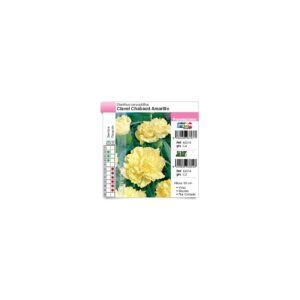 Clavel Chabaud Amarillo