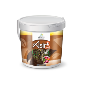 ASIR FRUIT - Micorrizas y Trichodermas (Apto Grow)