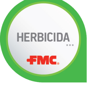 2,4-D ACIDO 34,5% (SAL AMINA) + MCPA 34,5% (SAL AMINA) [SL] P/V