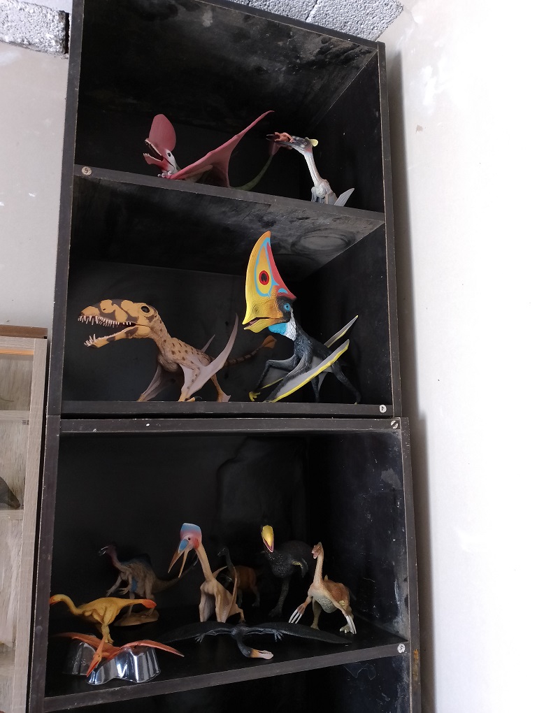 Colección de Dinosaurios de excelente calidad de la reconocida Marca CollectA + 4 Expositores Vitrinas Cristal + 1 Enciclopedia - Image 6