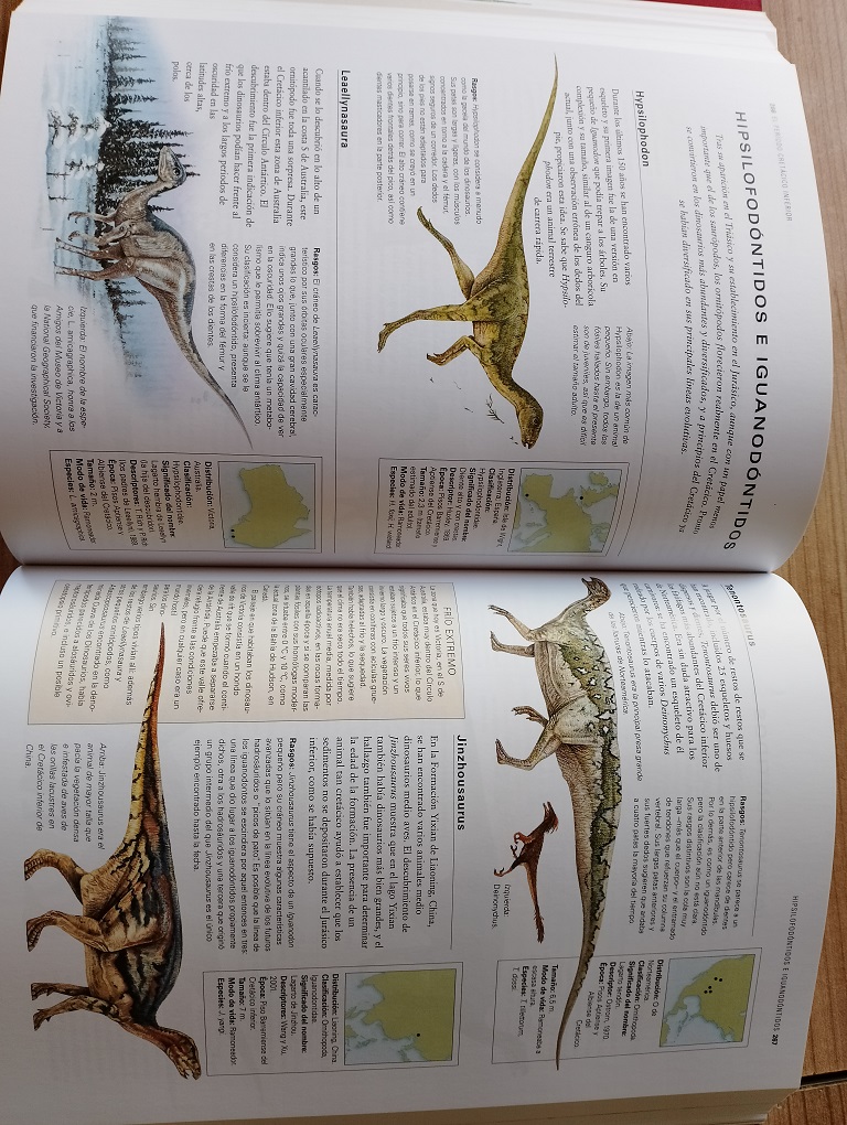 Colección de Dinosaurios de excelente calidad de la reconocida Marca CollectA + 4 Expositores Vitrinas Cristal + 1 Enciclopedia - Image 8