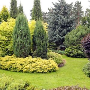 Servicio Integral de Mantenimiento de Jardines y Piscinas