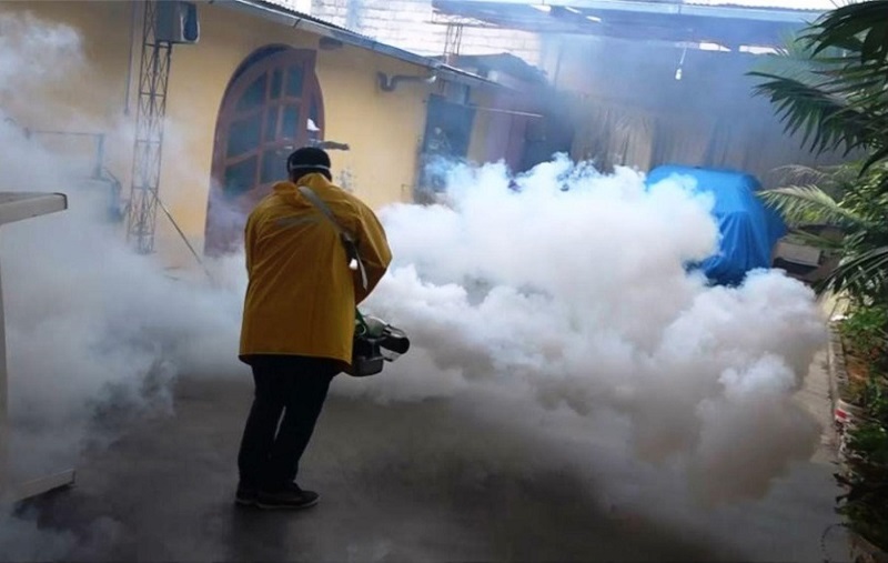 Servicio Integral de FUMIGACIÓN Pisos / Locales / Casas / Almacenes - Image 4