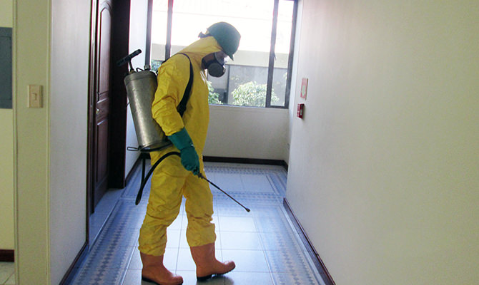 Servicio Integral de FUMIGACIÓN Pisos / Locales / Casas / Almacenes - Image 2