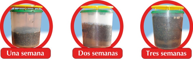 Trampa para moscas Killer-Trap - Image 2