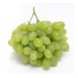 Victoria (5 Unidades)